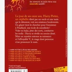 Harry Potter à L'école Des Sorciers - T1 - GALLIMARD JEUNESSE Rouge - Gallimard 5 Harry Potter à L'école Des Sorciers - T1 - GALLIMARD JEUNESSE Rouge - Gallimard -Kapla shop harry potter a lecole des sorciers t1 gallimard jeunesse 1