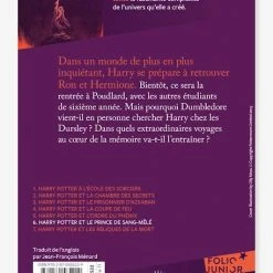 Harry Potter Et Le Prince De Sang-Mêlé -T6 - GALLIMARD JEUNESSE Violet - Gallimard -Kapla shop harry potter et le prince de sang mele t6 gallimard jeunesse 1