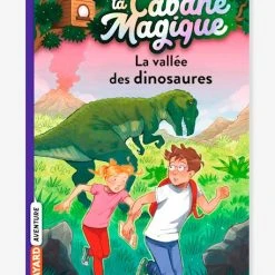 La Cabane Magique - T.1 - La Vallée Des Dinosaures - BAYARD JEUNESSE Blanc - Hachette