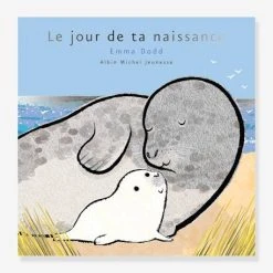 Livre De Naissance - Le Jour De Ta Naissance - ALBIN MICHEL Blanc - Hachette