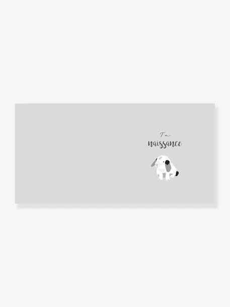 Livre De Naissance - Mon Livre De Bébé Mimi’lou HACHETTE PRATIQUE Blanc - Hachette 5 Livre De Naissance - Mon Livre De Bébé Mimi’lou HACHETTE PRATIQUE Blanc - Hachette – Image 3