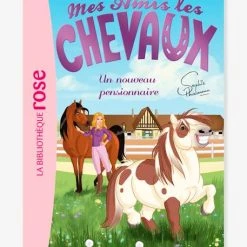 Mes Amis Les Chevaux - T.1 - Un Nouveau Pensionnaire - HACHETTE Blanc - Hachette