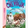 Mes Amis Les Chevaux - T.12 - Mystère Au Centre équestre - HACHETTE Blanc - Hachette -Kapla shop mes amis les chevaux t.12 mystere au centre equestre hachette