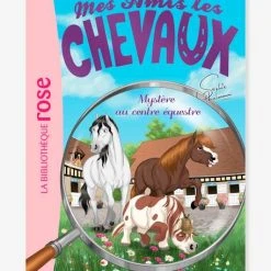 Mes Amis Les Chevaux - T.12 - Mystère Au Centre équestre - HACHETTE Blanc - Hachette