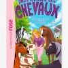 Mes Amis Les Chevaux - T.35 - L'anniversaire De Sophie - HACHETTE Blanc - Hachette 1 Mes Amis Les Chevaux - T.35 - L'anniversaire De Sophie - HACHETTE Blanc - Hachette -Kapla shop mes amis les chevaux t.35 lanniversaire de sophie hachette