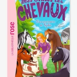 Mes Amis Les Chevaux - T.35 - L'anniversaire De Sophie - HACHETTE Blanc - Hachette