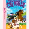 Mes Amis Les Chevaux - T.37 - Une Médaille Pour Moustique - HACHETTE Blanc - Hachette 1 Mes Amis Les Chevaux - T.37 - Une Médaille Pour Moustique - HACHETTE Blanc - Hachette -Kapla shop mes amis les chevaux t.37 une medaille pour moustique hachette