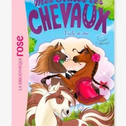Mes Amis Les Chevaux - T.38 - Drôle De Duo - HACHETTE Blanc - Hachette