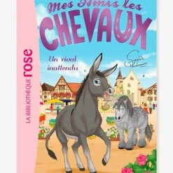 Mes Amis Les Chevaux - T.4 - Un Rival Inattendu - HACHETTE Blanc - Hachette